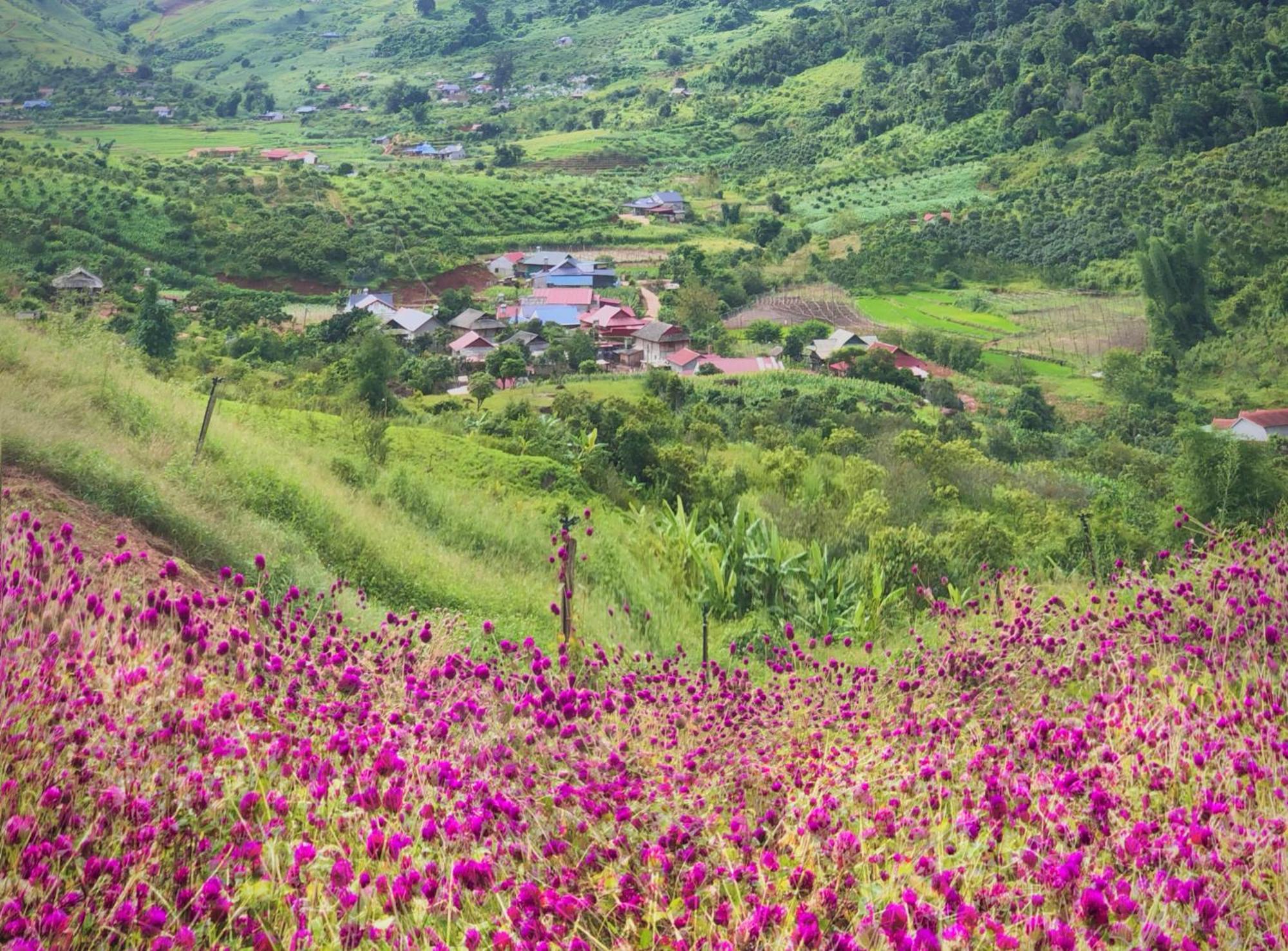מוק צ'או Muong Sang Farmstay מראה חיצוני תמונה